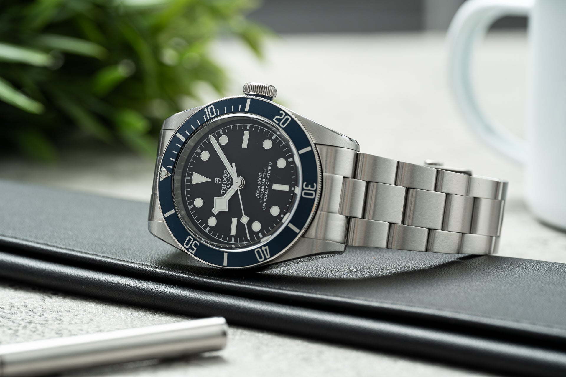 Stainless steel dive watch with black dial and navy bezel on matching bracelet, displayed on desk with plants