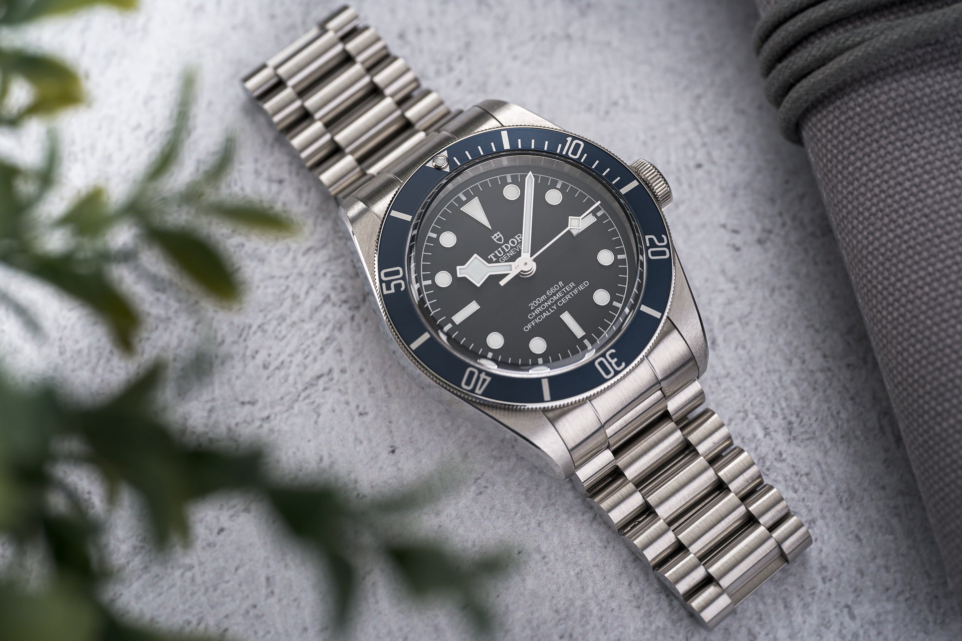 Tudor Black Bay 41mm dive watch with stainless steel bracelet on concrete surface with greenery