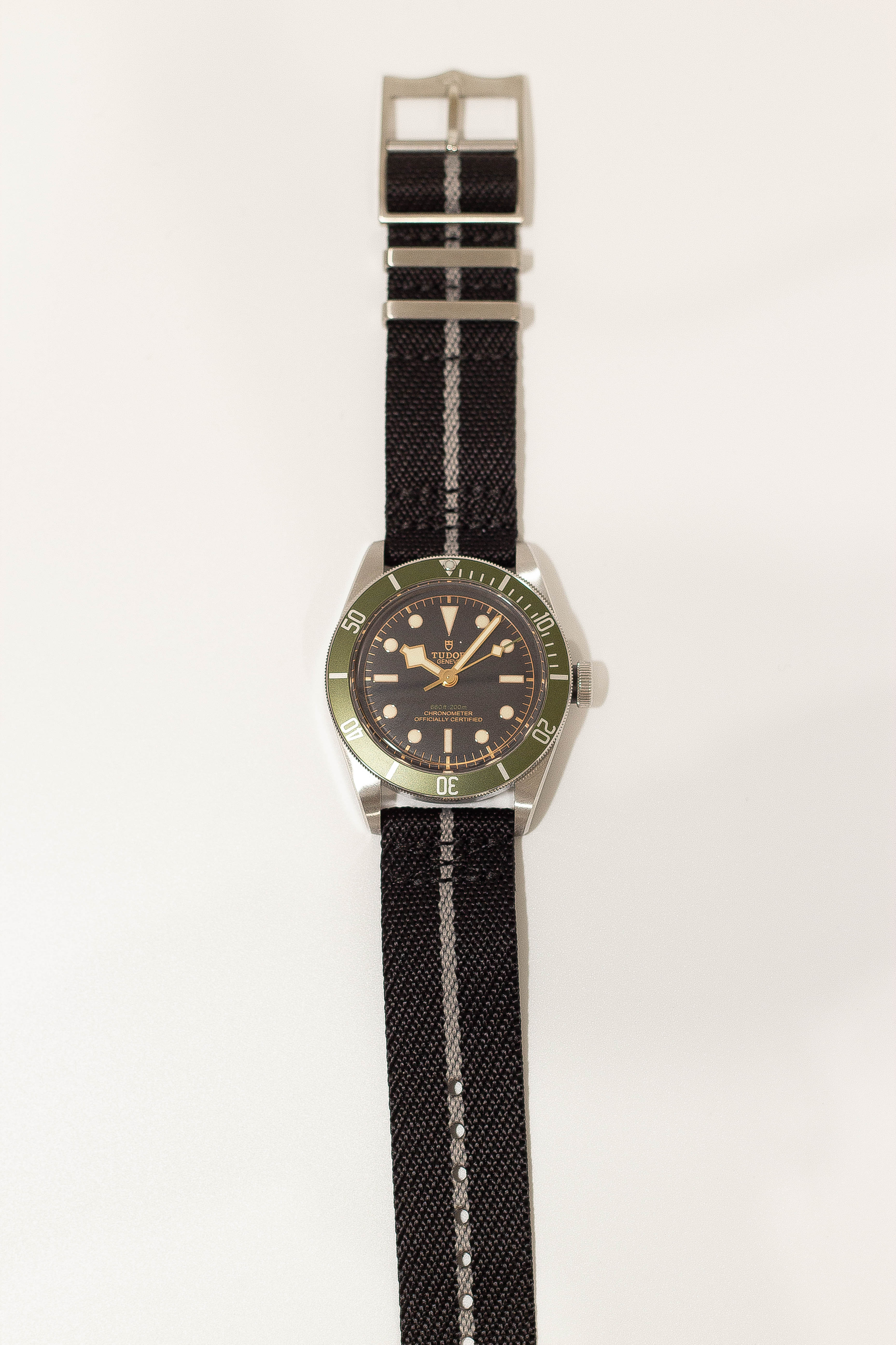 Tudor Heritage Black Bay dive watch with green bezel, black dial, silver case and black canvas fabric strap