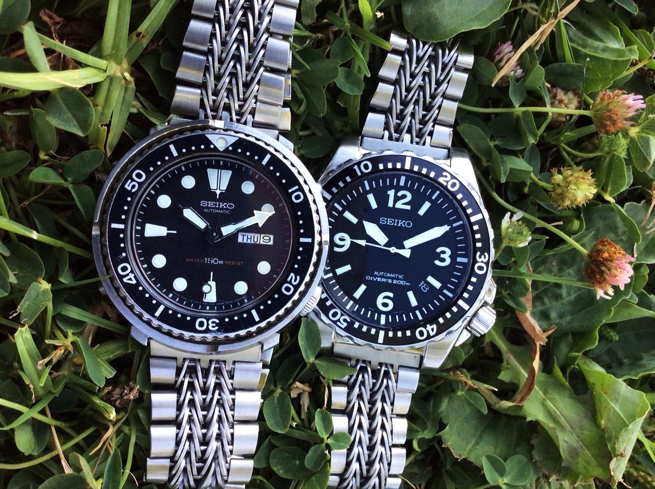 Two Seiko automatic dive watches with steel mesh bracelets on green foliage background