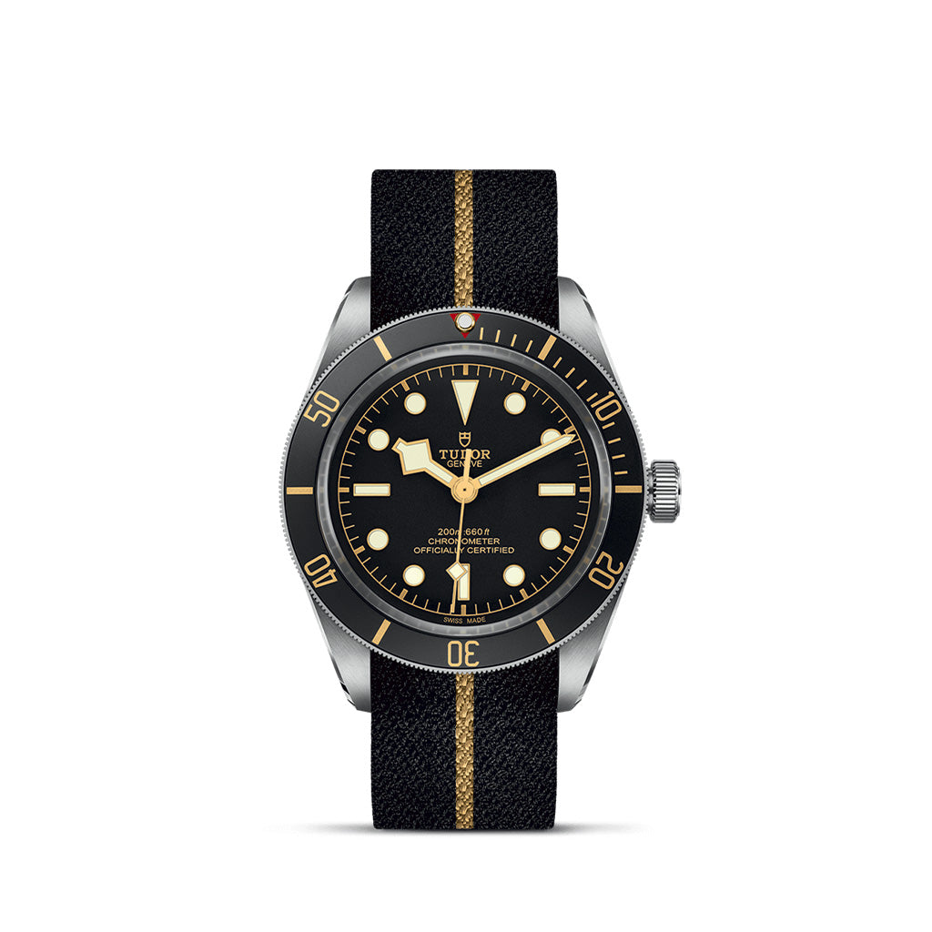 Tudor Black Bay 58 [20mm]